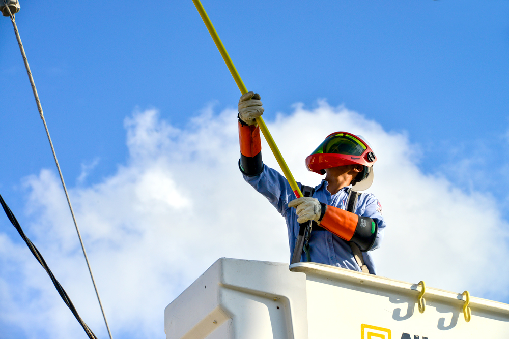 Electric service