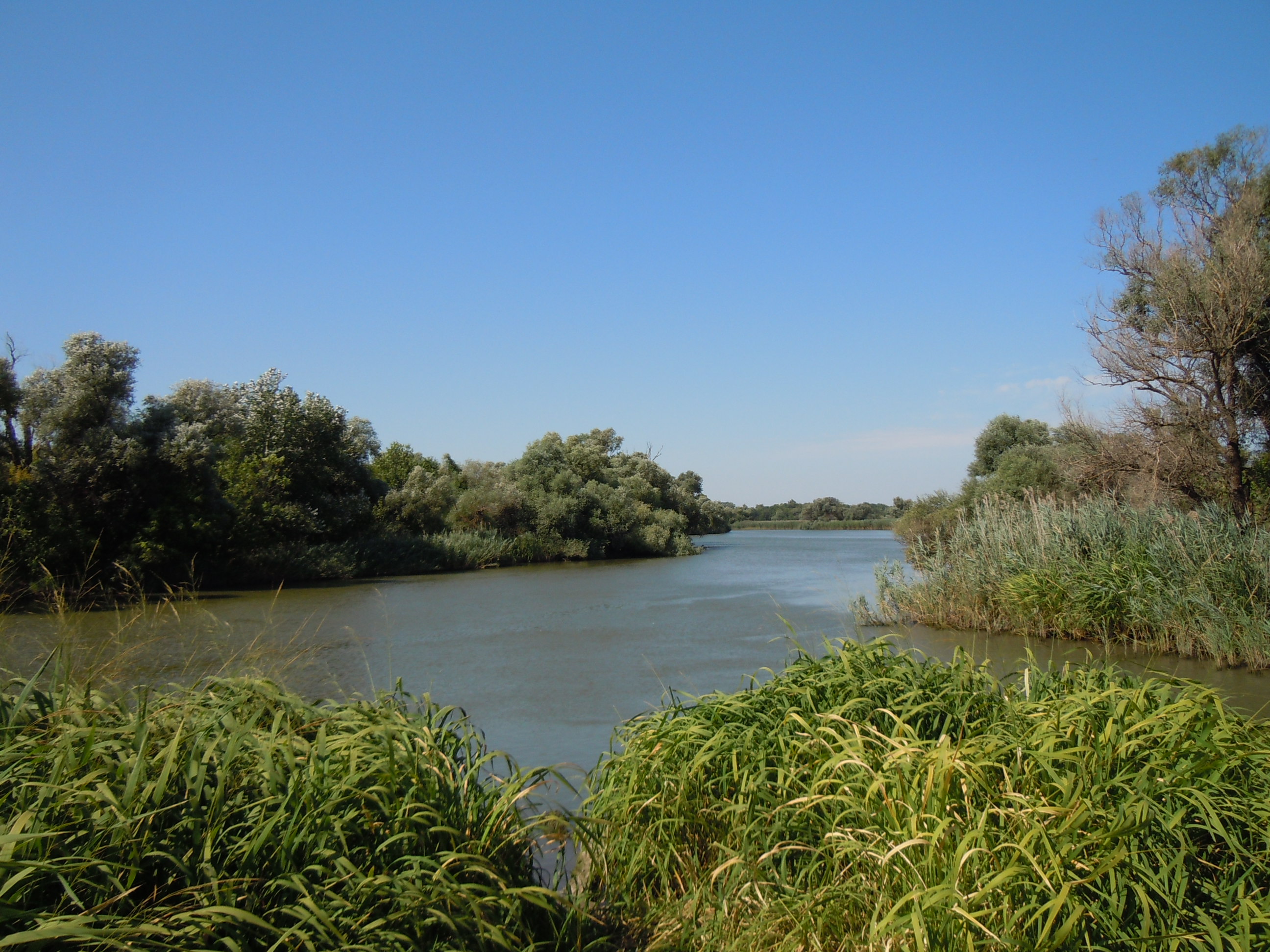 Stage 2 Water Restrictions in Effect